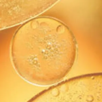 Ferulic Acid